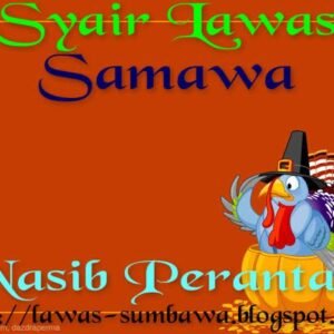 Lawas tau samawa di rantauan