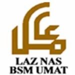 Logo Laznas BSM