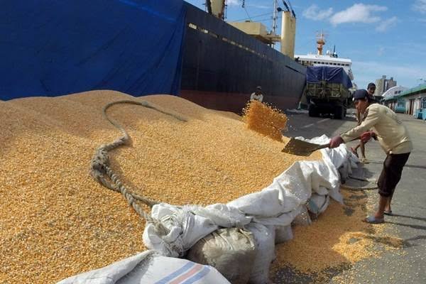ekspor jagung ke Filipina