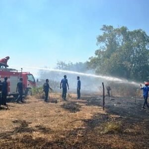 Kebakaran Lahan Nyaris Lahap Pertamina Depo Badas