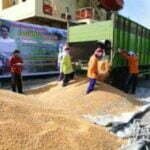 Ekspor jagung Sumbawa