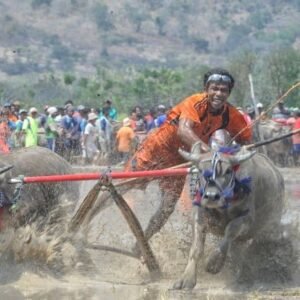 Dampak Perkembangan Pariwisata Sumbawa