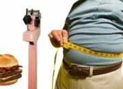 Bahaya Terlalu Gemuk, Daftar Penyakit yang Rentan Menyerang