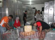 KPU Sumbawa: Distribusi Logistik Pilkada Tuntas H-1