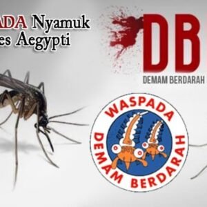 Musim Penghujan, Dinkes Tangani 14 Kasus DBD