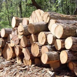 Tim Gabungan Kembali Amankan Kayu Diduga Ilegal Loging