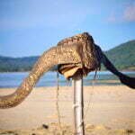 Di Sumbawa Kita Ziarahi Waktu..