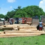 Operasi Gabungan Sasar Olat Rawa