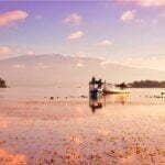 Pesona Tambora 2016 Tanpa Teluk Saleh Menjadi Ritus Wisata Budaya Sepi