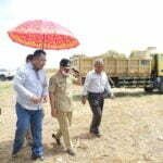 Panen Raya Jagung Dan Pengolahan Pakan Ternak