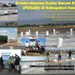 Potensi Garam Sumbawa Cukup Menjanjikan