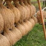 Lima Lumbung Pangan Masyarakat Mulai Digarap Tahun ini