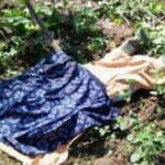 Perebutan Tanah Orong Peliuk, Warga Lopok Beru Tewas