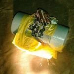 Ada Benda Diduga Bom Ditemukan di Kantor Bupati Sumbawa