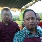 Menristekdikti : Angkat Kualitas Sapi Lokal, Gunakan Insiminasi Buatan