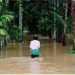 La Nina, Hujan Lebat dan Musim Dingin Diperkirakan Mengakibatkan Penurunan Suplai Global akan Karet Alam