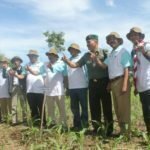 KPH Puncak Ngengas Batulanteh Tanam 3000 Bibit Kayu Putih