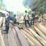 Ratusan Batang Kayu Diamakan Petugas di Hutan Ropang