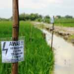 Tersengat Listrik di Ladang Jagung, Warga Moyo Hulu Meninggal Dunia