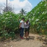 Seorang Residivis Kembali Diringkus Polisi