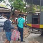 8 Orang Pelaku Judi Sabung Ayam Diamankan Polisi