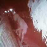 Aksi Pencurian Disamping Istana Dalam Loka Terekam CCTV