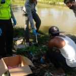 Warga Temukan Mayat Bayi di saluran Irigasi