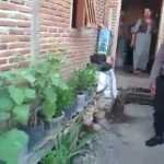 Jaga Ketahanan Pangan, Warga Maronge Tanam Sayur di Pekarangan