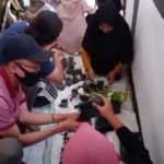 Manfaatkan Lahan Sempit, KKL-T UNSA Intensifikasi Pertanian dengan Teknik Hidroponik