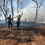 Kasus Kebakaran Lahan Mendominasi