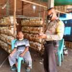 Budidaya Jamur Tiram Tingkatkan Perekonomian Masyarakat