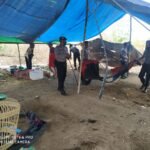 Sabung Ayam di Jalan Lintas Semongkat Dibubarkan Polisi