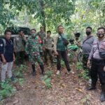 Cegah Kerusakan Hutan, Aparat Gabungan Rutinkan Patroli