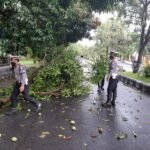 Ranting Patah Ganggu Arus Lalulintas, Satlantas Polres Sumbawa Lakukan Ini