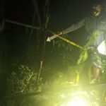 Seorang Patani Tewas Tersengat Listrik di Lahan Jagungnya