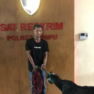 Curi Kambing, Cungki Diringkus Tim Puma