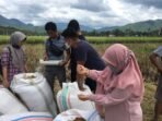 Petani Sumbawa dan KSB Diminta Jaga Kualitas Panen