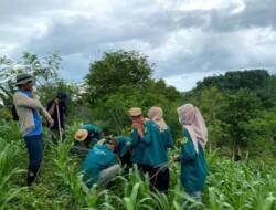 114 Ribu Bibit Lamtoro Ditanam di KSB