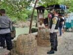 Polisi Bubarkan Sabung Ayam di Brang Bara