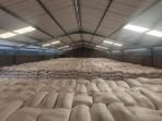 Siapkan Space Gudang, Bulog Sumbawa Kirim 1.000 Ton Beras ke NTT