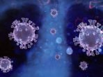 Covid Varian Delta, Seberbahaya Apa?