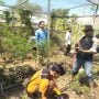 UNSA Bersama Rumah Bibit Samaras Siapkan Bibit untuk Konservasi Hutan Desa