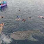 Sumbawa Siapkan Destinasi Wisata Unggulan Sambut Moto GP 2022