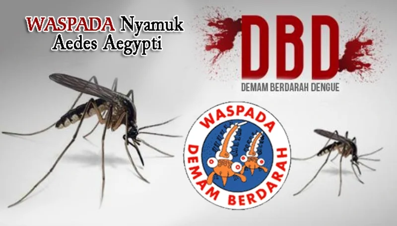 Waspada DBD! Masyarakat Dihimbau Lakukan PSN