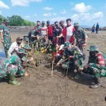 Kodim 1607 Sumbawa Tanam Mangrove di Pantai Labu Ijuk