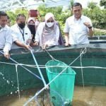 Kecamatan dan Desa Didorong Kembangkan Budi Daya Lele Sistem Bioflok