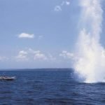 Nelayan di Utan Meninggal Dunia Terkena Bom Ikan