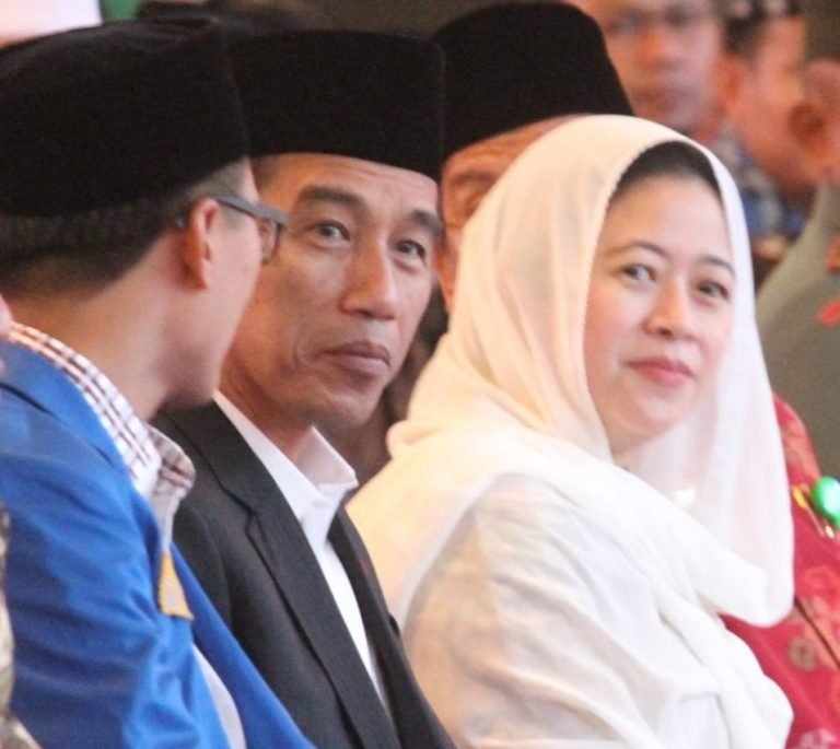 Harlah ke-62 PMII, Puan: Terus Bertransformasi untuk Membangun Peradaban