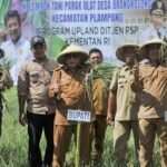 Bupati Sumbawa Panen Bawang Merah Program UPLAND