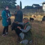 Hewan Kurban Ditandai Kupon Sehat